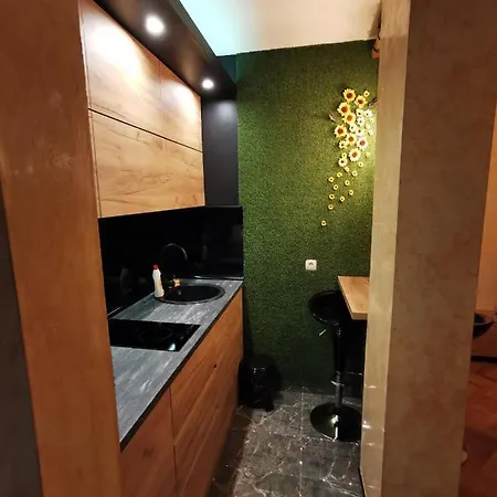 Centar Stan Na Dan Sa Besplatnim Parkingom Daire Novi Sad